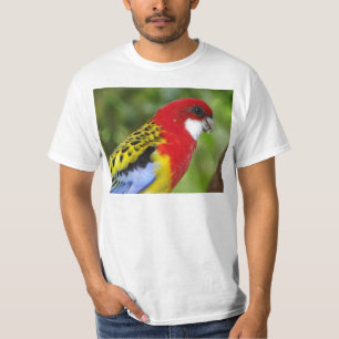 Male Eastern Rosella T-Shirt