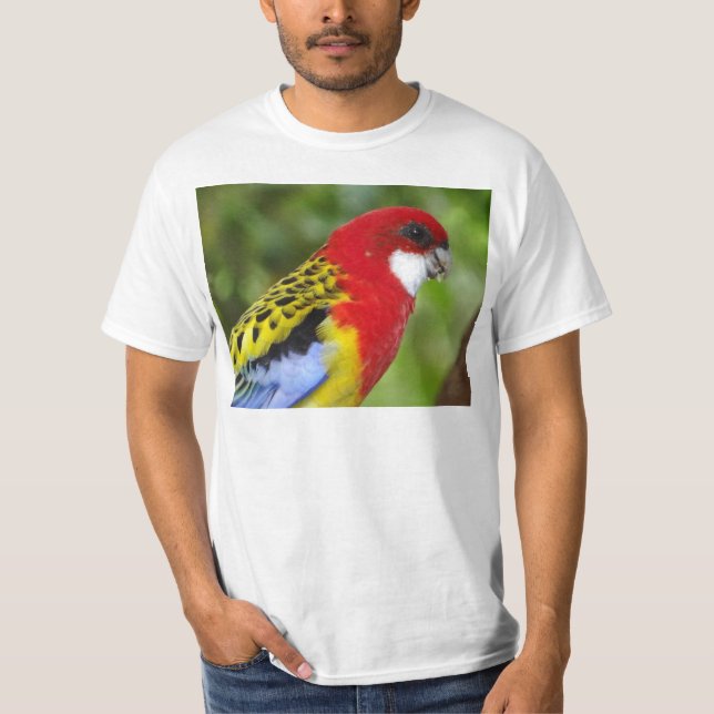 Male Eastern Rosella T-Shirt (Front)