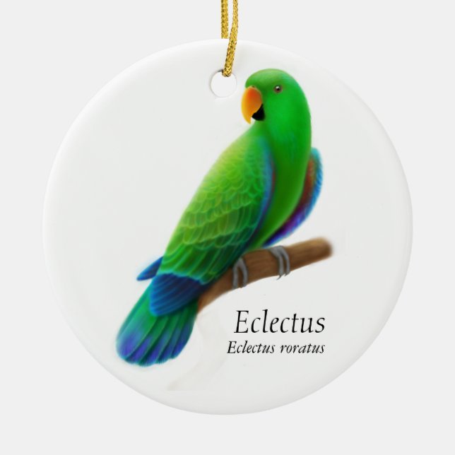 Male Eclectus Parrot Ornament (Front)