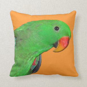 Male Eclectus parrot throw pillow