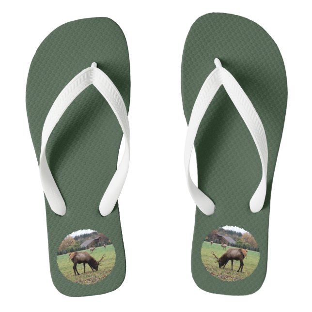 Male Elk Antlers Photo Grazing in Field Green Flip Flops (Footbed)
