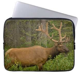 Male Elk   Banff National Park, Alberta, Canada Laptop Sleeve