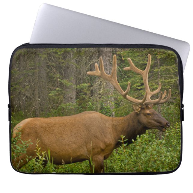 Male Elk | Banff National Park, Alberta, Canada Laptop Sleeve (Front)
