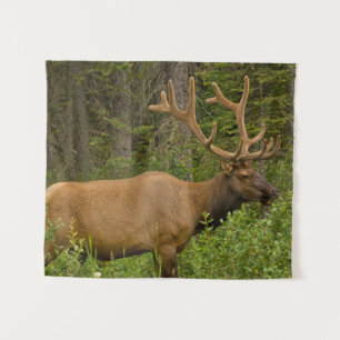 Male Elk   Banff National Park, Alberta, Canada Tapestry