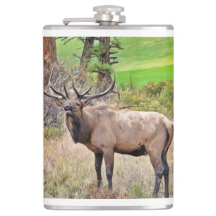 Male Elk in Estes Park, Colorado during September Hip Flask