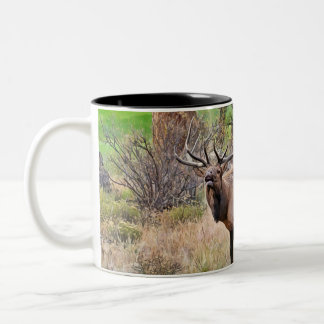 Male Elk in Estes Park, Colorado during September Two-Tone Coffee Mug