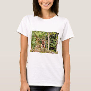 Male Elk in Rocky Mountain National Park, Colorado T-Shirt