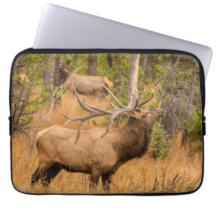 Male elk   Rocky Mountain National Park, Colorado Laptop Sleeve