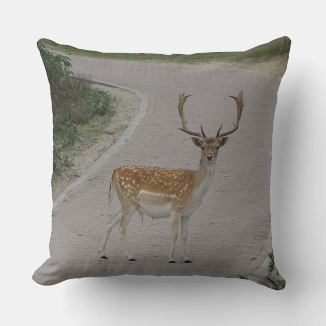 Male Fallow Deer Throw Pillow (Front)