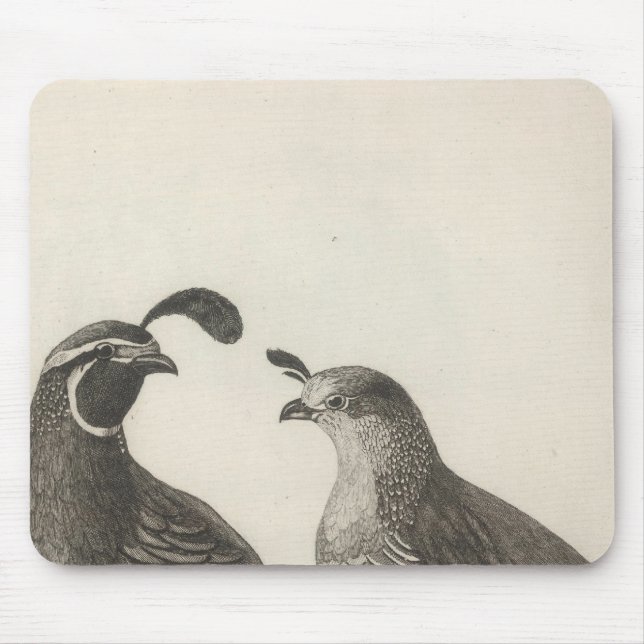 Male & Female Partridge of California Mouse Mat (Front)