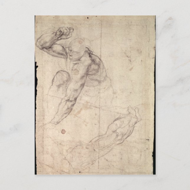 Male figure study postcard (Front)