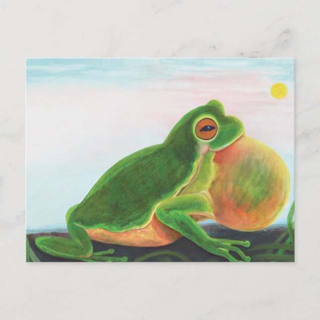 Male frog sing a song to attract a mate  postcard (Front)