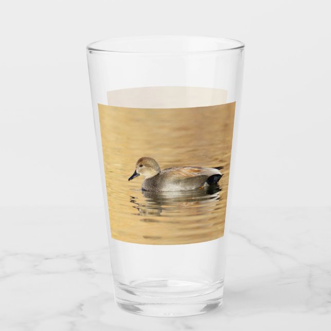 Male Gadwall duck Glass (Front)