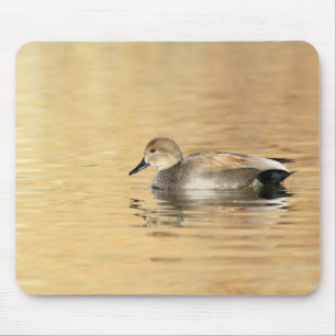 Male Gadwall Mouse Mat