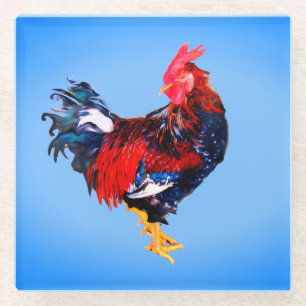 male gallinaceous bird glass coaster