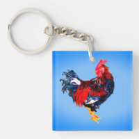 male gallinaceous ,rooster