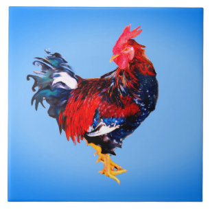 male gallinaceous ,rooster tile