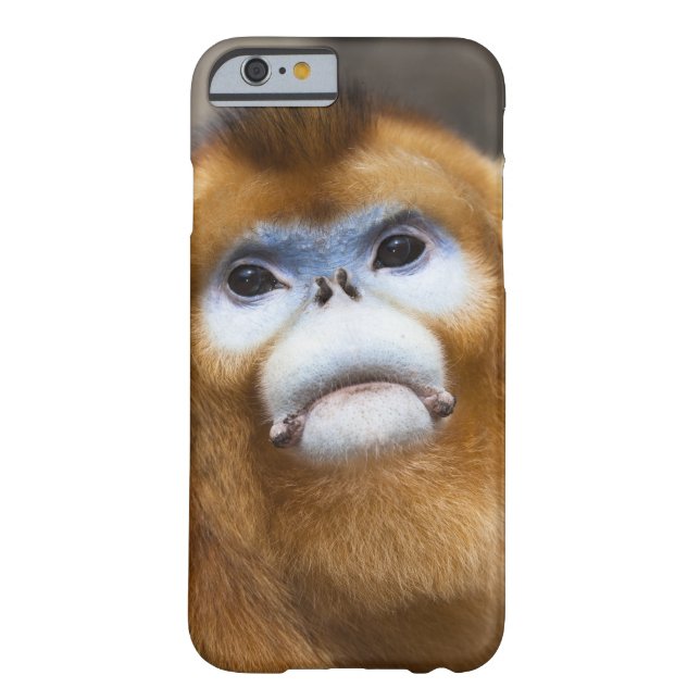 Male Golden Monkey Pygathrix roxellana, portrait Case-Mate iPhone Case (Back)
