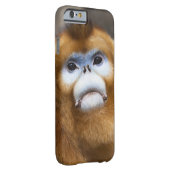 Male Golden Monkey Pygathrix roxellana, portrait Case-Mate iPhone Case (Back/Right)