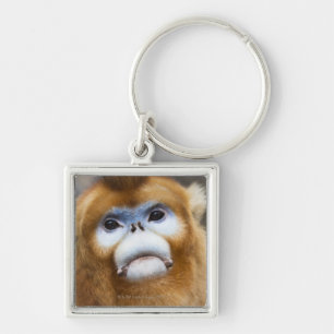 Male Golden Monkey Pygathrix roxellana, portrait Key Ring