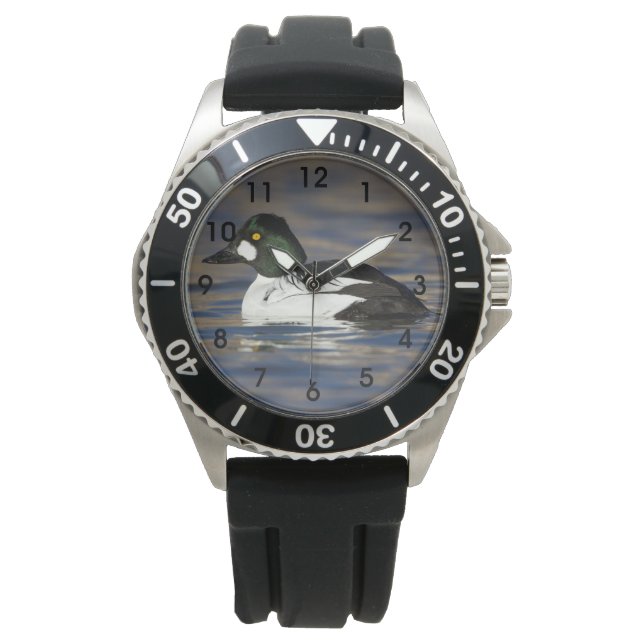 Male Goldeneye duck Watch (Front)
