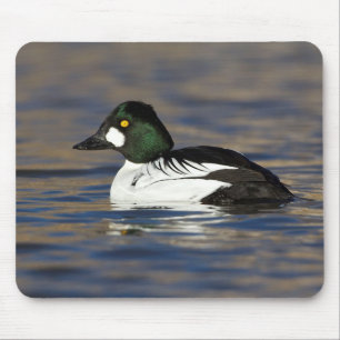male goldeneye mouse mat