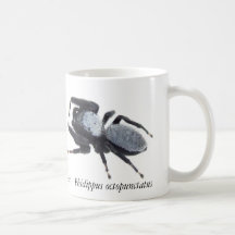 Male Great Basin Jumping Spider Mug