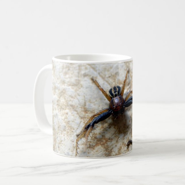 Male Ground Crab Spider Bug Mug (Front Left)
