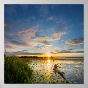 Male kayaker paddling sea kayak on still water poster