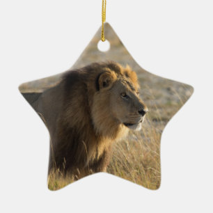 MALE LION 14 BOTSWANA CERAMIC TREE DECORATION
