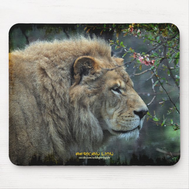 Male Lion Big Cat Wildlife-lover Photo Mousepad (Front)
