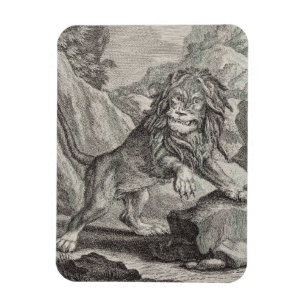 Male Lion in Serengeti National Park, Tanzania Magnet