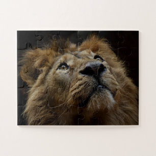 MALE LION LOOKING UP JIGSAW PUZZLE