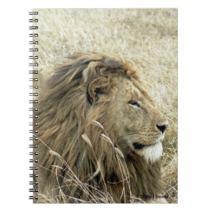 Male Lion Notebook