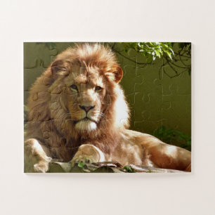 MALE LION PHOTOGRAPHY PUZZLES