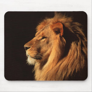 Male Lion Profile - Wildlife Images by Steven Holt Mouse Mat