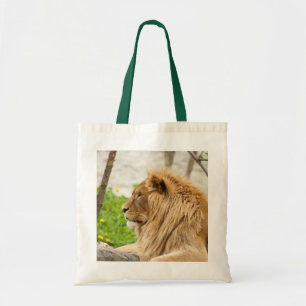 Male Lion Resting in Grass Tote Bag