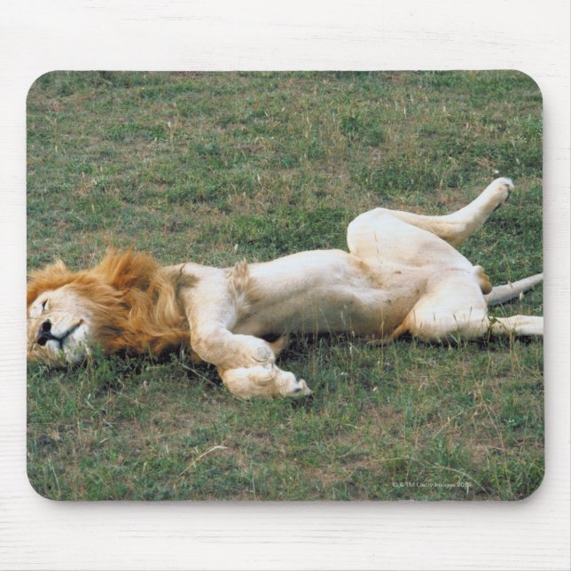 Male Lion Stretching Mouse Mat (Front)