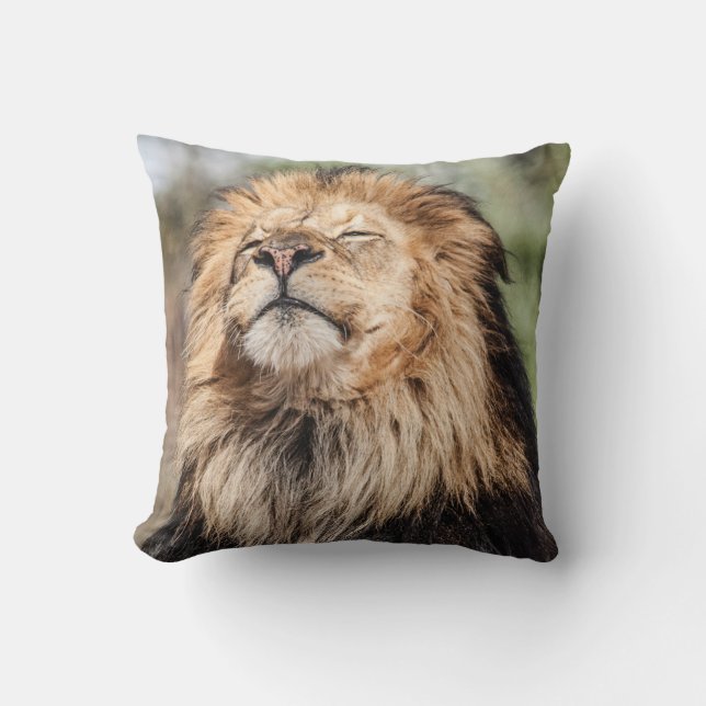 Male Lion Sunbathing Cushion (Front)