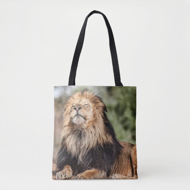 Male Lion Sunbathing Tote Bag (Front)