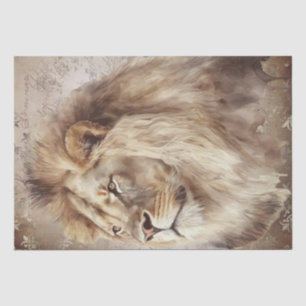 Male Lion Tissue Paper