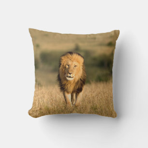 Male Lion Walking Cushion