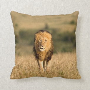 Male Lion Walking Cushion