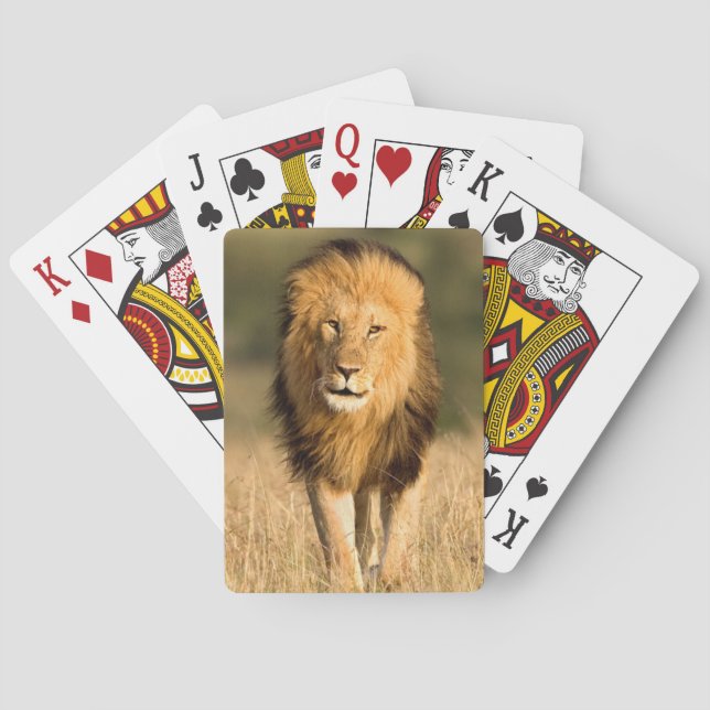 Male Lion Walking Playing Cards (Back)