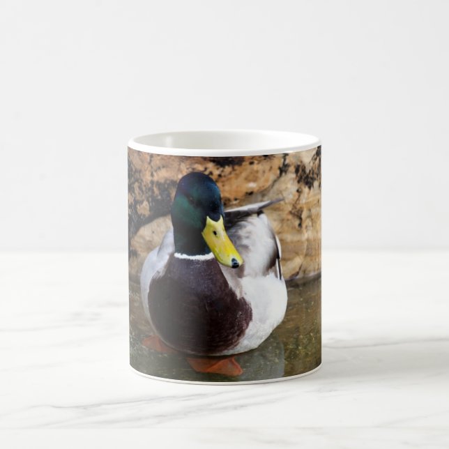 Male Mallard Duck Coffee Mug (Center)