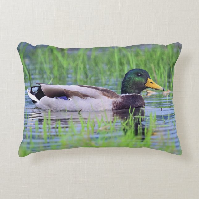 Male mallard duck floating on the water decorative cushion (Front)