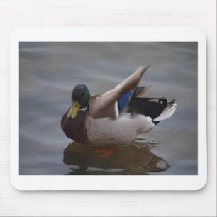 Male Mallard Duck Mouse Mat