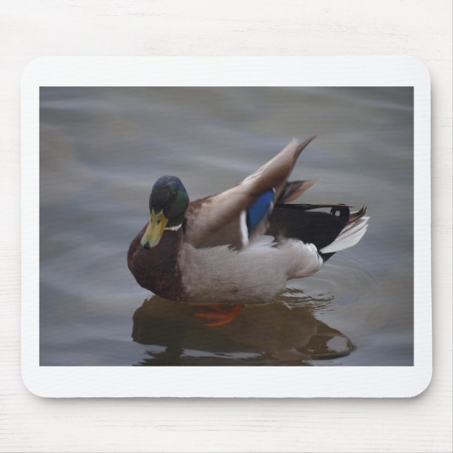 Male Mallard Duck Mouse Mat (Front)