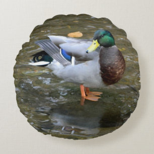 Male Mallard Duck Round Pillow