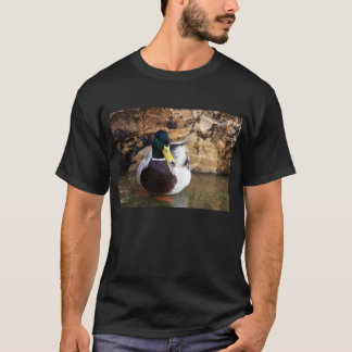 Male Mallard Duck T-Shirt